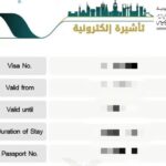 After Applying for a Saudi Visa Online What Comes Next