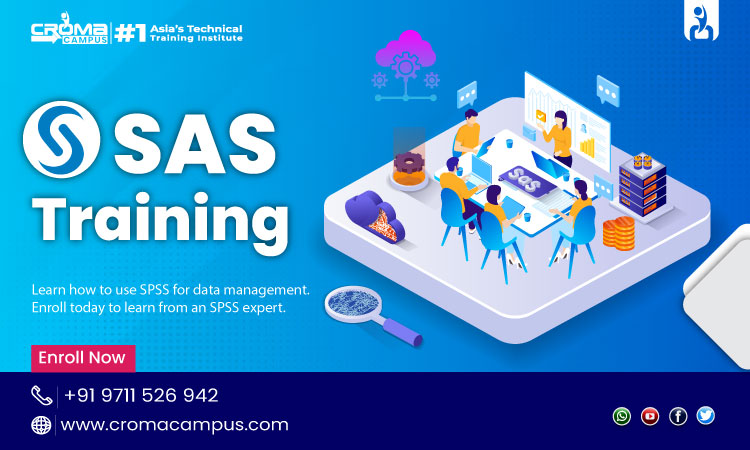 SAS Online Training